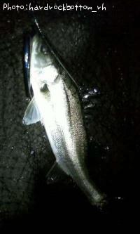 �����Х�