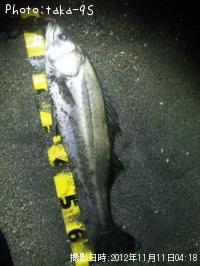 �����Х�