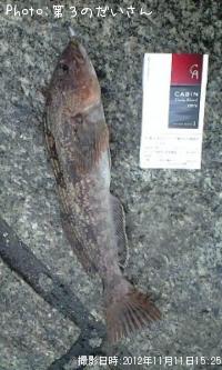 �����ʥ�