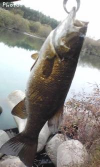 ���⡼��ޥ����Х�