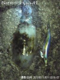 �����ꥤ��