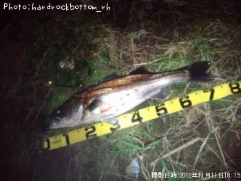 �����Х�