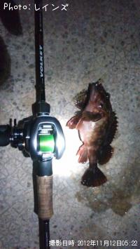 �����Υ���������