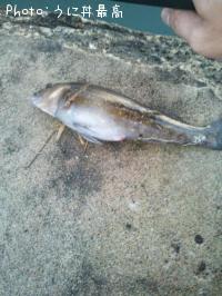 �����ʥ�