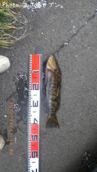 �����ʥ�