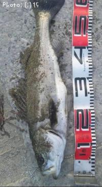 �����Ф�