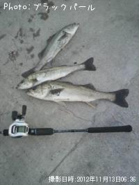 �����Х�