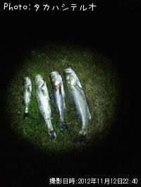 �����Х�