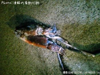 �����ꥤ��