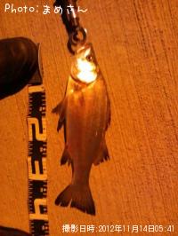 �����Х�