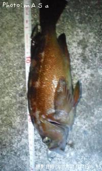 ������Х�