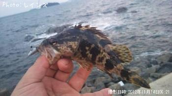 �������������Υ�