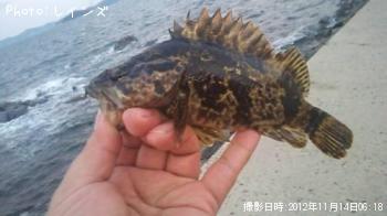 �������������Υ�