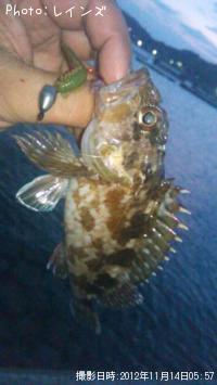 �������������Υ�