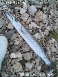 ���˥��ޥ�