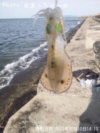 ¥¢¥ª¥ê¥¤¥«