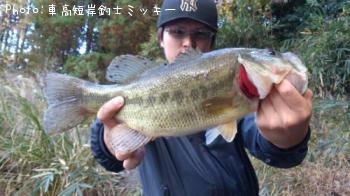 ¥Ö¥é¥Ã¥¯¥Ð¥¹