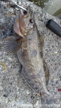 �����ʥ�