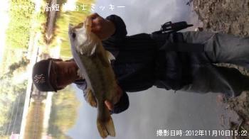 �֥�å��Х�