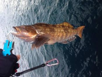 �����ʥ�