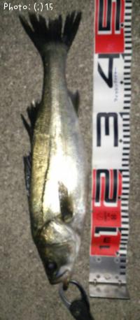 �����Ф�