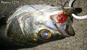 �����Ф�