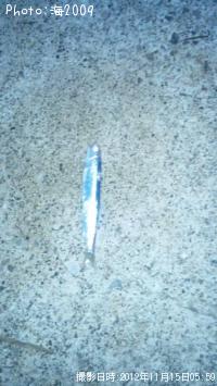 �����������亮