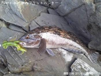 �����ʥ�