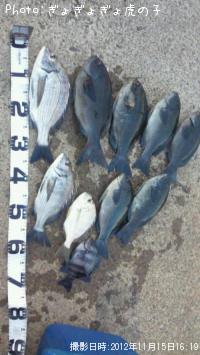 �����������᥸��