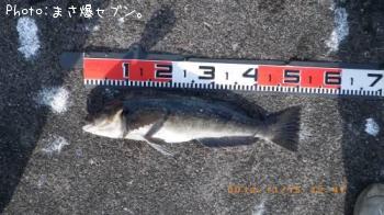 �����ʥ�