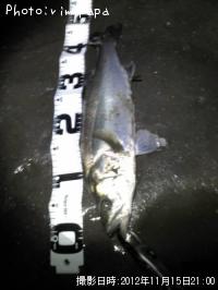 �����Х�