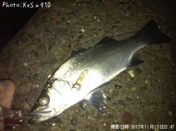 �ҥ�եå�����������Х롢��������