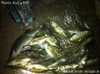 �ҥ�եå�����������Х롢��������