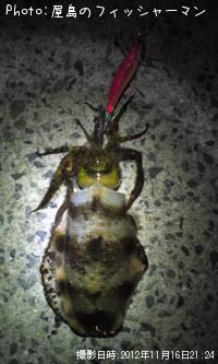 �����ꥤ��