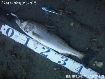 �����Х�