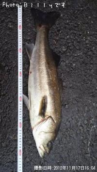 �����Х�