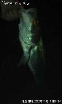 �����Х�