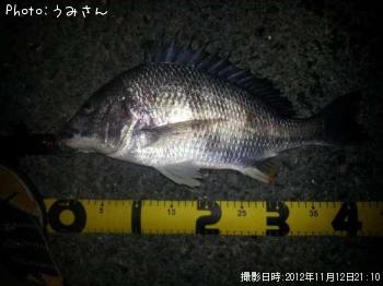 ¥¥Ó¥ì
