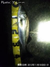 �����Х�