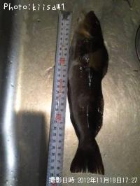 ガシラ&アイナメ