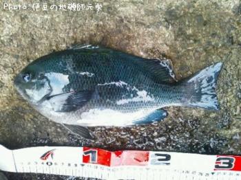 �����᥸��