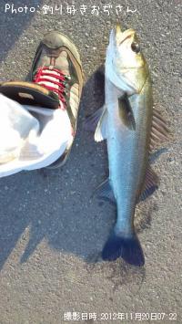 �����Х�