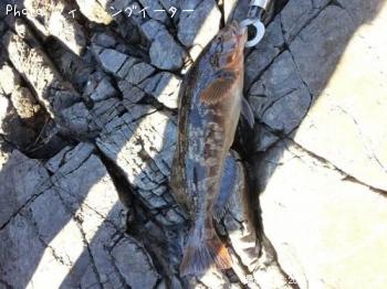 �����ʥ�