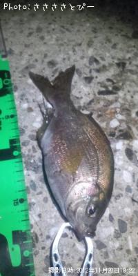 ²¿¤Æµû¤«¤Ê¡Ä¡©