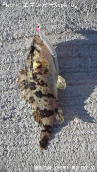 ¥¿¥±¥Î¥³¥á¥Ð¥ë