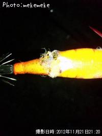 ¥¢¥ª¥ê¥¤¥«