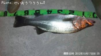 �ҥ饹����