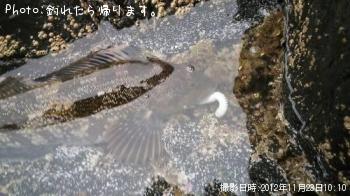 �����ʥ�