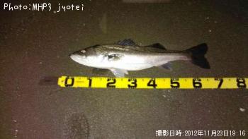 �����Х�