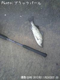 �����Х�